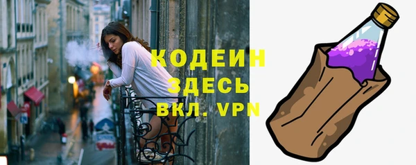 прущие грибы Инта