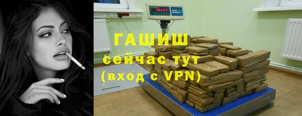 прущие грибы Инта