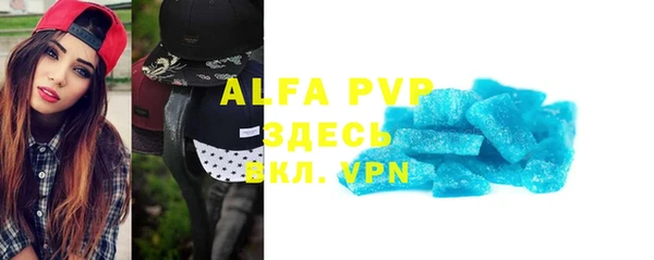 прущие грибы Инта