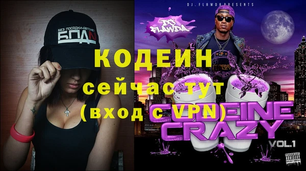 прущие грибы Инта