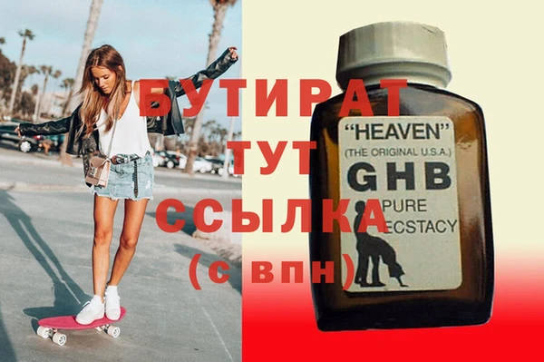 прущие грибы Инта