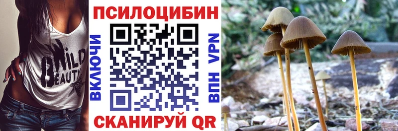 продажа наркотиков  Ишимбай  гидра tor  Галлюциногенные грибы Psilocybine cubensis 