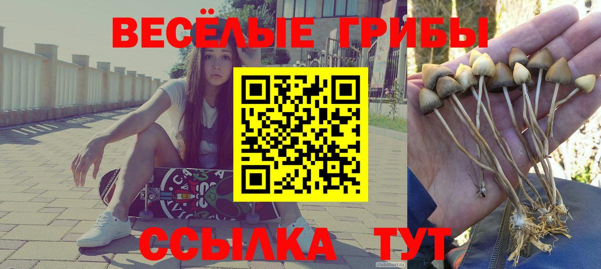 Псилоцибиновые грибы прущие грибы  Галлюциногенные грибы мицелий  Вход с VPN  Ишимбай 