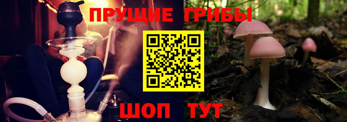 Галлюциногенные грибы Magic Shrooms Ишимбай