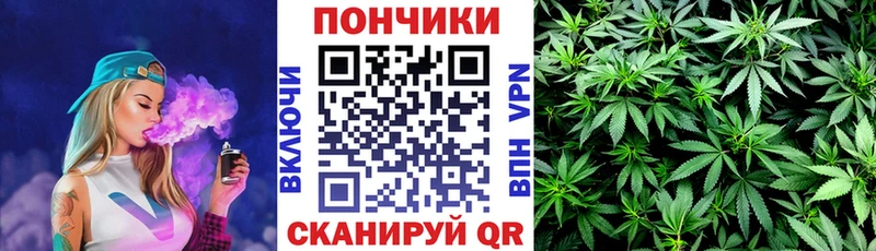 наркота Ишимбай Бошки Шишки SATIVA & INDICA